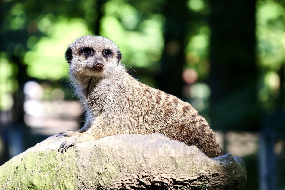 Foto: Monique Bartsch